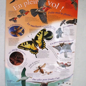 Affiche en plein vol