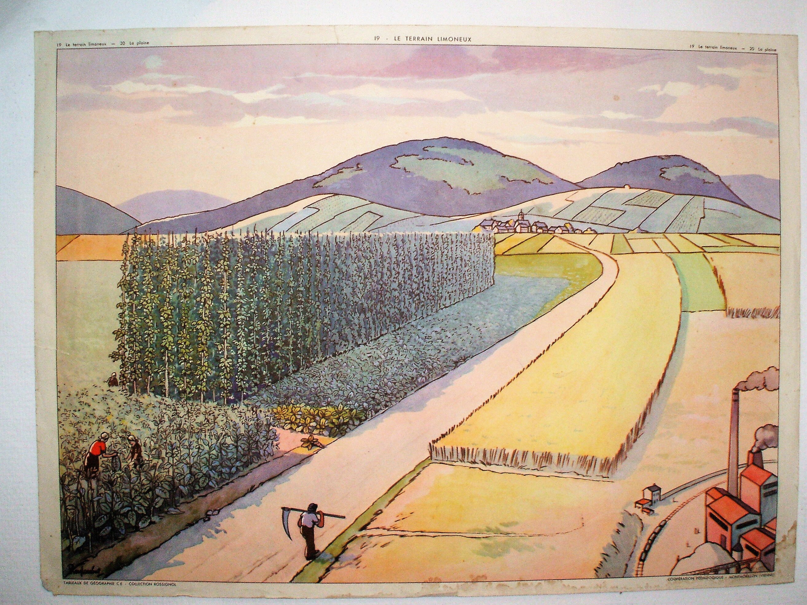 Affiche Scolaire Le Terrain Limoneux/La Plaine