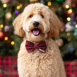 Op de afbeelding: Een lichtbruine Goldendoodle-hond met een bordeauxrode vlinderdas met de naam "Freddie" erop geborduurd. De hond zit voor een versierde kerstboom met kleurrijke lichtjes en ornamenten. De achtergrond bevat een rood-zwart ruitpatroon.