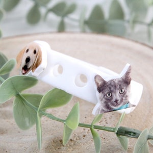 NEW! 20pc Cute Animals Sea Life Cat Dog Shoe Charms for Crocs Clogs +6  Bracelets