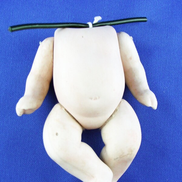 Baby body, approximately 10 cm (4 ") (36) 100