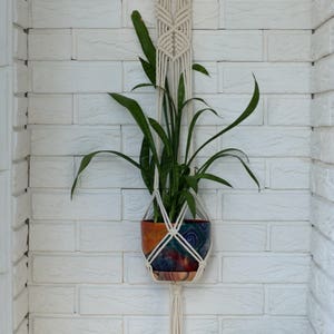 May include: A white macrame plant hanger with a green plant in a colorful ceramic pot hanging on a white brick wall.