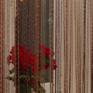 Thread curtains. Curtain with lurex 3mx2.8m. Door curtain. Window curtains window treatment Room divider curtain. Filament curtain. 3