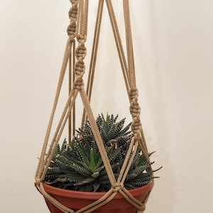 May include: A brown macrame plant hanger with a terracotta pot and a green succulent plant inside.