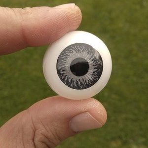 May include: A close-up of a realistic grey and black glass eye prop. The eye is held by a finger and the background is a green grassy lawn.