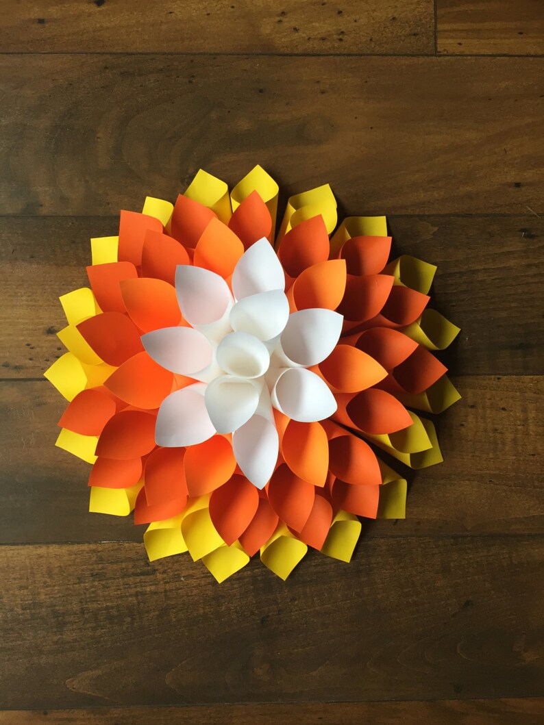 Candy Corn Dahlia