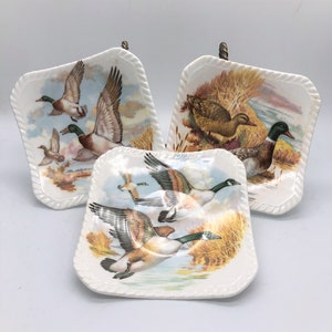 Royal Adderley Floral Bone China Made in England Coasters