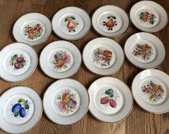 KPM Berlin Germany Porcelain Dessert Plates with Fruit and Flowers Motif Set of 12