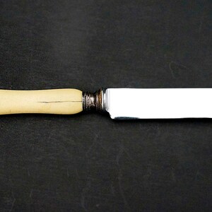 Puede incluir: Un cuchillo de mantequilla de plata con un mango de color crema.
