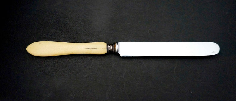 Puede incluir: Un cuchillo de mantequilla de plata con un mango de color crema.