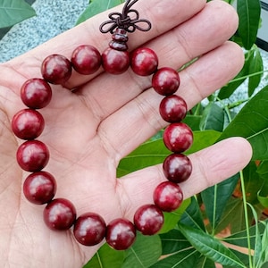 May include: A maroon beaded bracelet with a decorative knot closure. The bracelet is made of smooth, round beads. The background includes green foliage.
