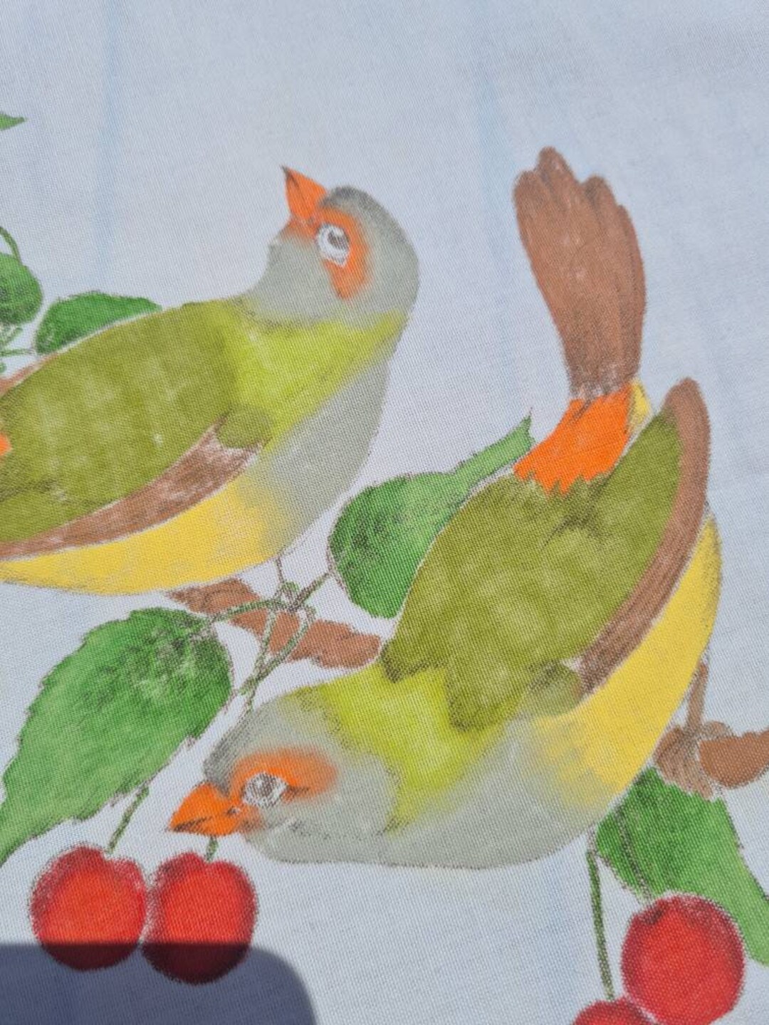 Aperturee Vintage Blossom Flower Robin Bird Stretch Table Cover