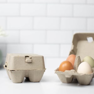 4-Cell Egg Cartons - Natural - Pack of 10 - Blank 3x3 Top