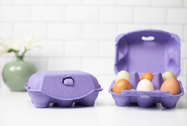 Multicolor Half Dozen Egg Cartons Pack of 10 Blank Top Etsy