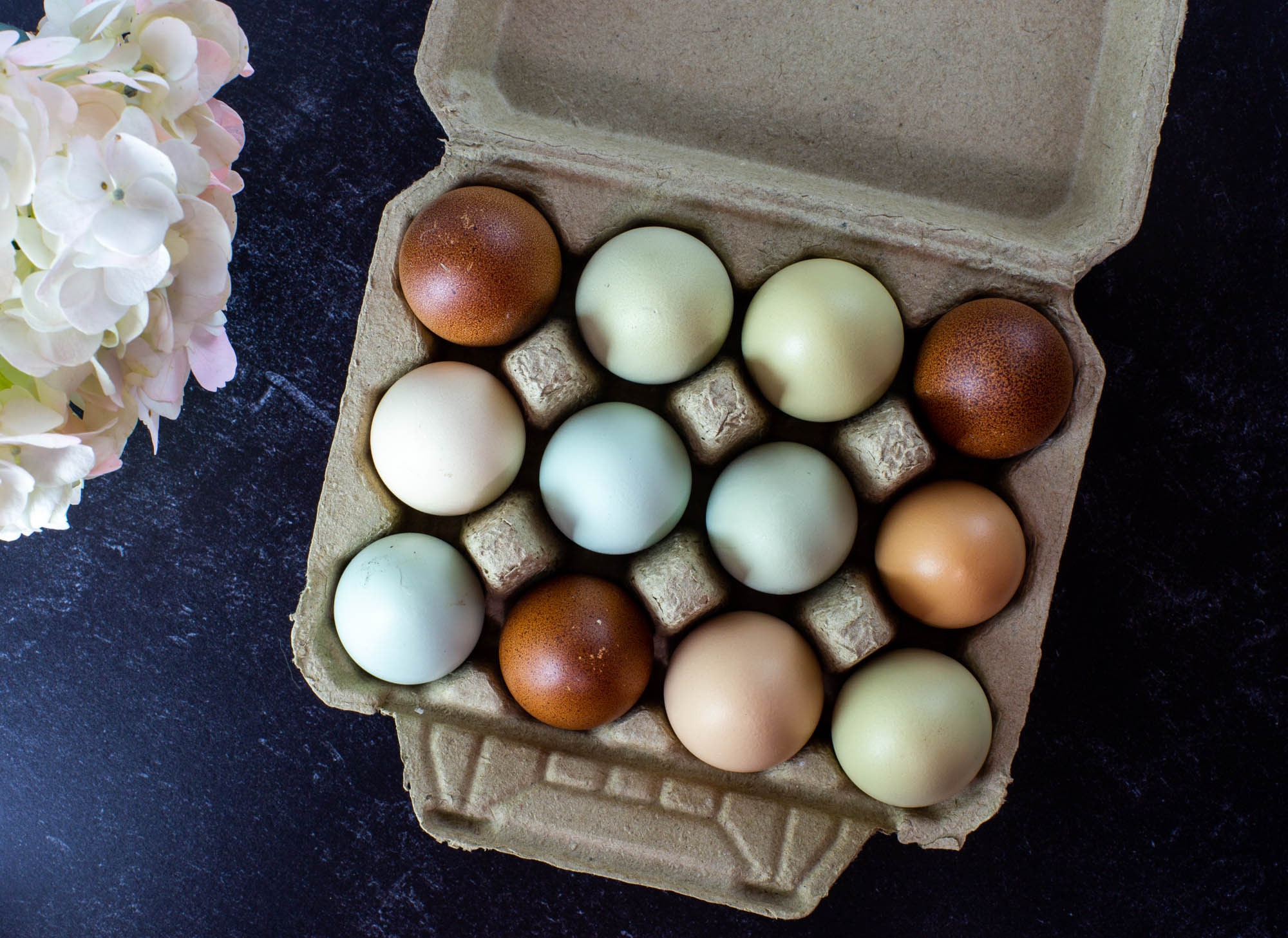 Vintage Style Full Dozen Egg Cartons - Blank Top - 4x3 Egg Cartons Ho…