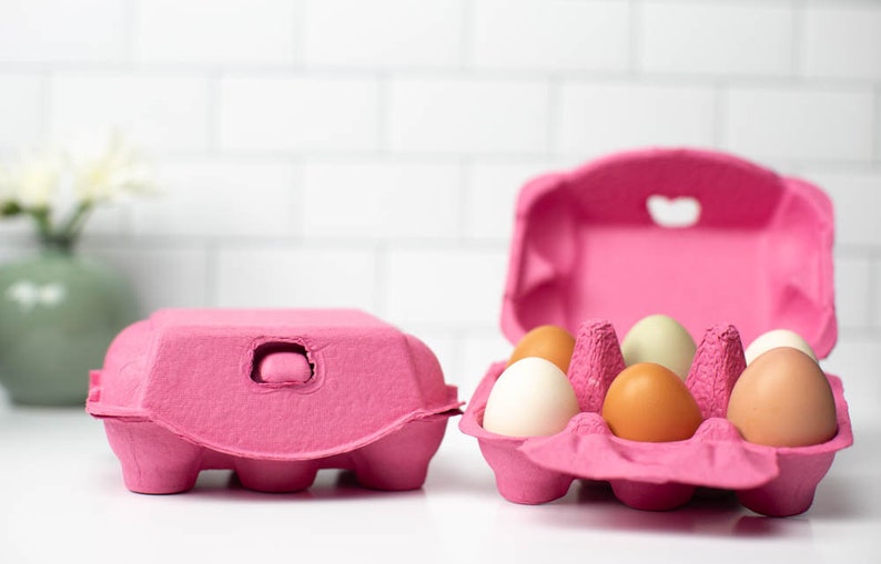 Multicolor Half Dozen Egg Cartons Pack of 10 Blank Top Etsy