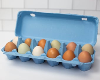 Blue Flat-Top Dozen  Egg Cartons (Pack of 10)