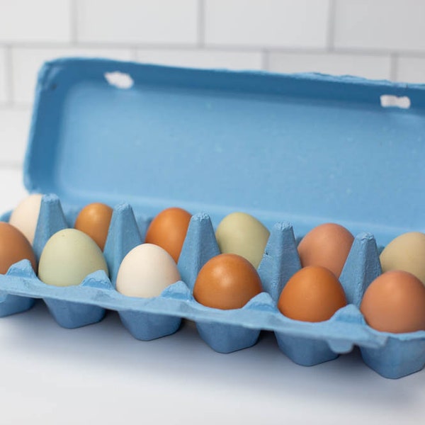 Blue Flat-Top Dozen  Egg Cartons (Pack of 10)