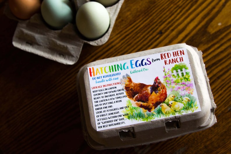 Custom Egg Carton Labels Hatching Eggs Fertile Eggs Etsy