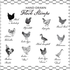 Flock Stamps - Hand Drawn Intricate Stamps of Chickens, Ducks and Geese - Ducks, Hens, Drakes - Farm & Livestock Branding Stamps