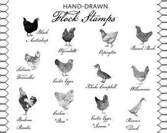 Flock Stamps - Hand Drawn Intricate Stamps of Chickens, Ducks and Geese - Ducks, Hens, Drakes - Farm & Livestock Branding Stamps