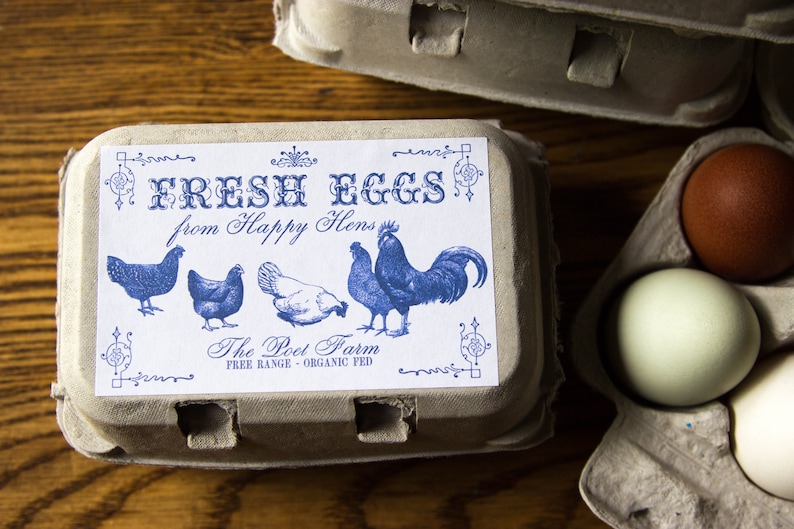 31-free-egg-carton-label-template-labels-database-2020-egg-carton-labels-template-alexia-rubio