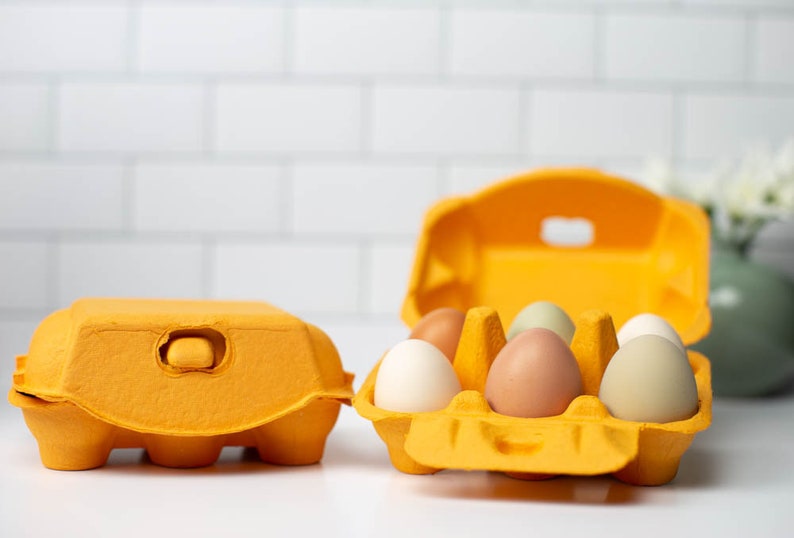 Multicolor Half Dozen Egg Cartons Pack of 10 Blank Top Etsy