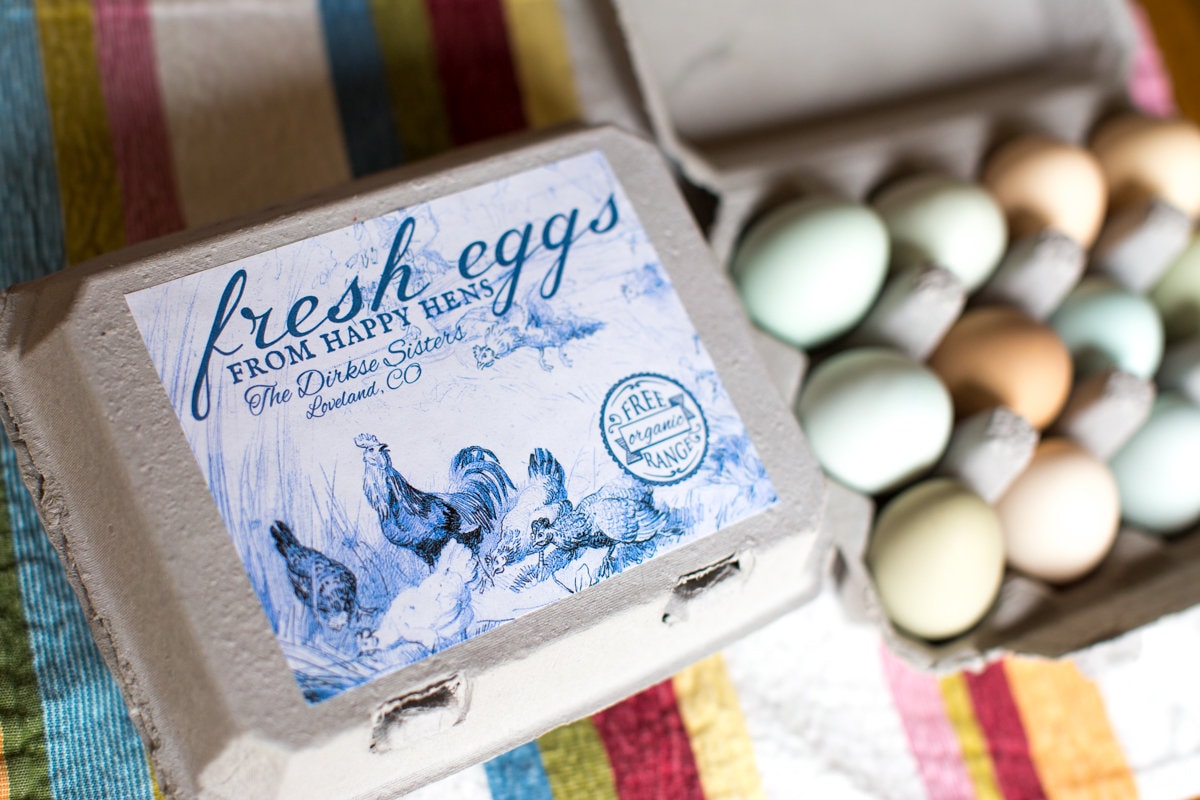 The Farmhouse Collection™: Vintage Round, Hen #1-Turning Egg Carton Stamp