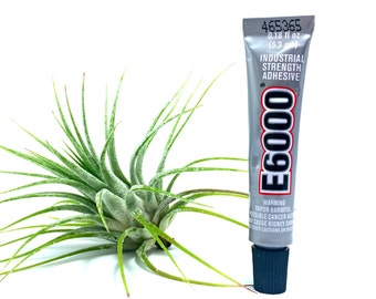 E6000 Tillandsia Glue // Air Plant Adhesive // .18oz