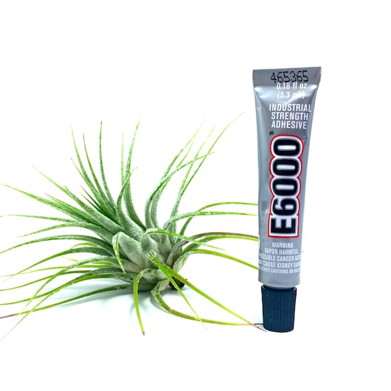 house plants accessories OESD USB