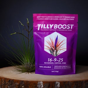 Tilly Boost 4oz | Tillandsia & Bromeliad Food | Air Plant Fertilizer // Hello Tilly Airplant