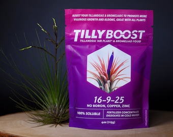 Tilly Boost 4oz | Tillandsia & Bromeliad Food | Air Plant Fertilizer // Hello Tilly Airplant