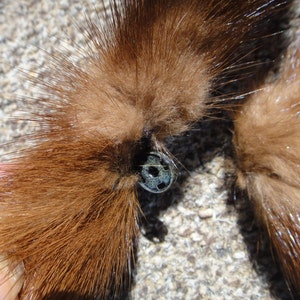 Vintage fox fur/ fox stole/mink stole Vintage fur/ vintage fur collar/ vintage fur stole/vintage pelt neck warme 1940-1950