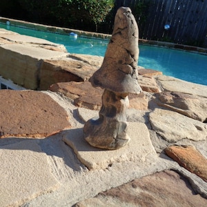 May include: A stone mushroom sculpture, light brown in colour, with a textured surface. It is placed on a stone surface, with a swimming pool and blue water in the background. The sculpture is a unique garden ornament.