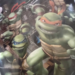 Teenage mutant ninja turtles VERY Rare Collectible TMNT movie wall art