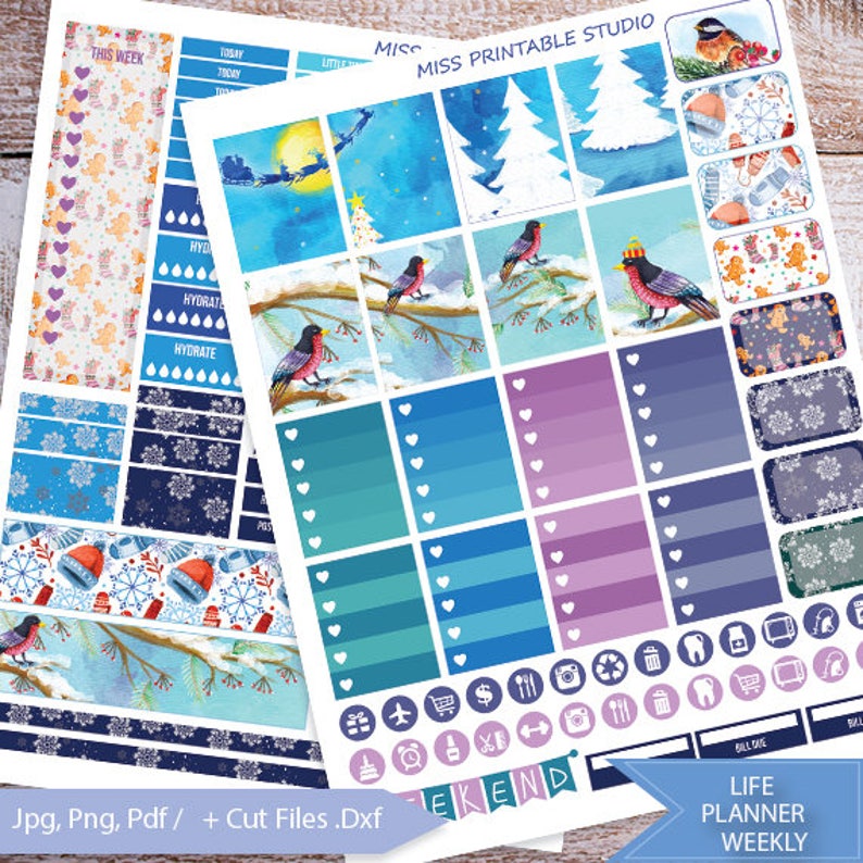 Winter birds Snow Printable Planner Stickers Weekly Kit image 0