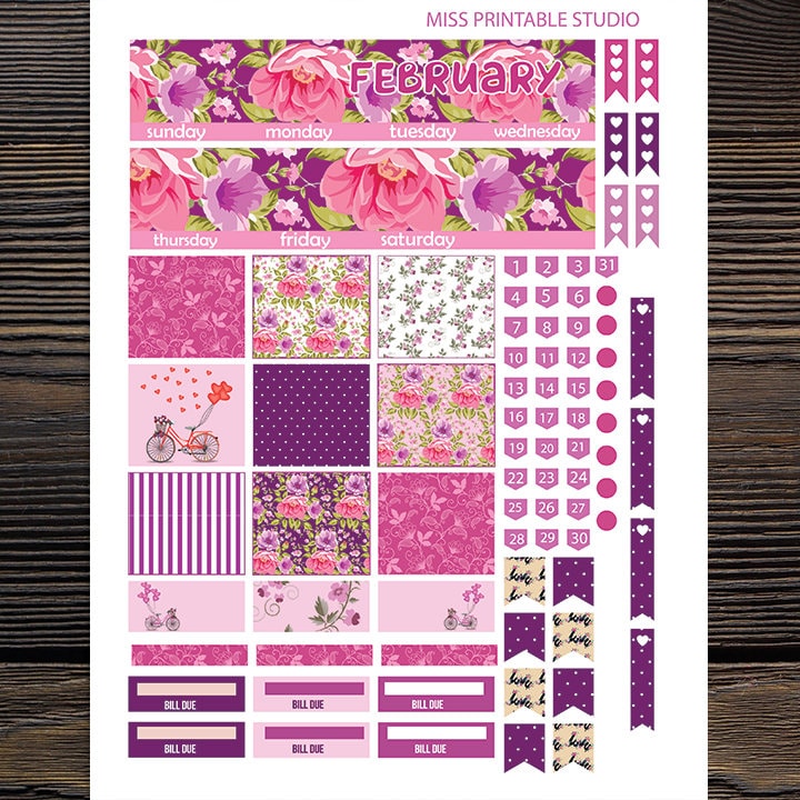 February Monthly Planner stickers for use with Erin Condren | Etsy