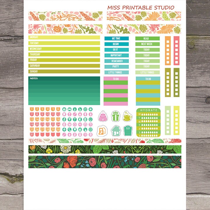 summer weekly kit planner stickersjune mini happy planner