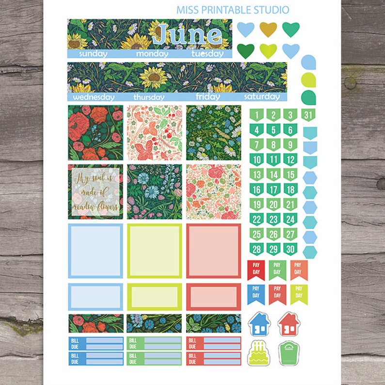 June Happy Planner June Planner Stickers June Monthly View - Etsy.de