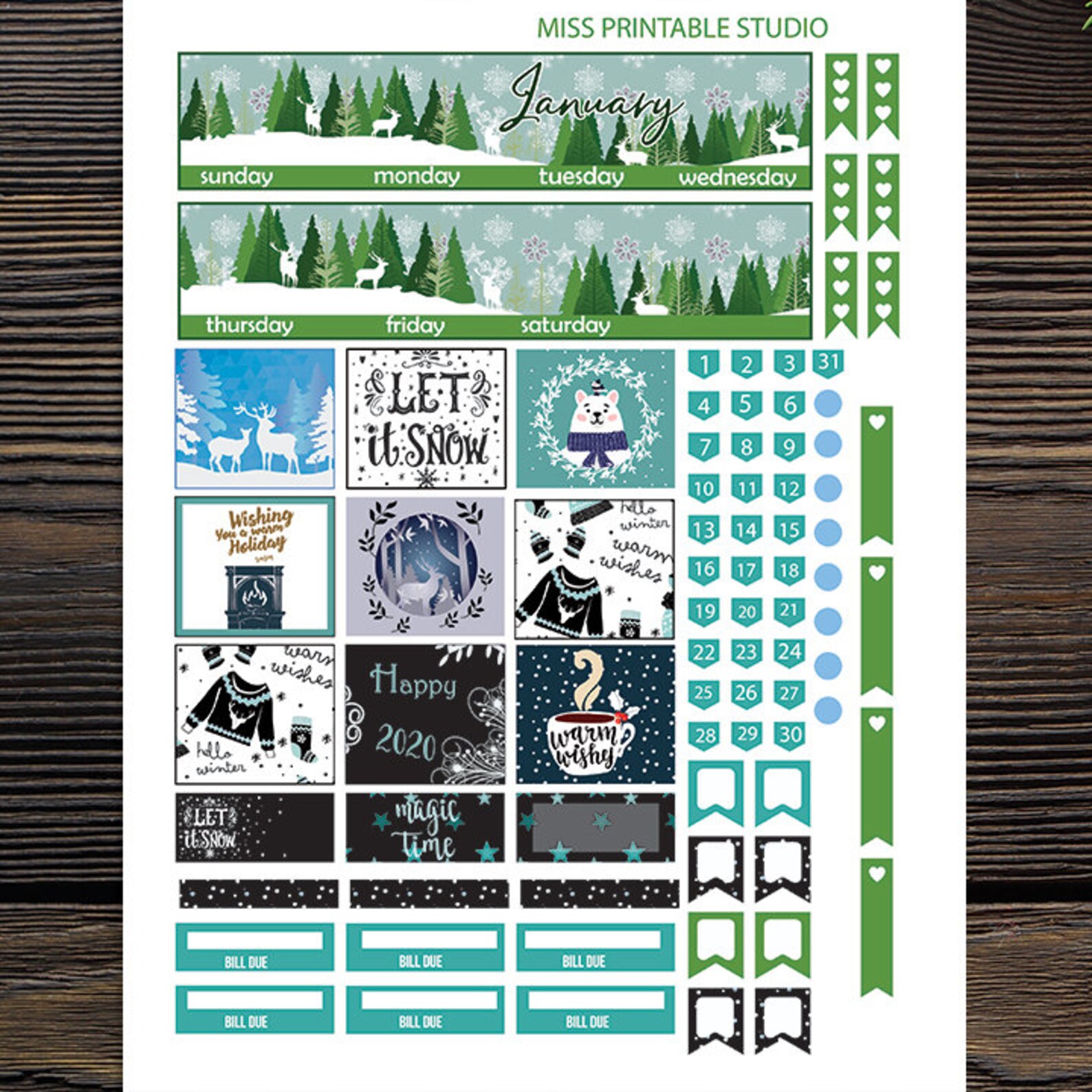 January Monthly Planner Stickers for Use With Erin Condren - Etsy