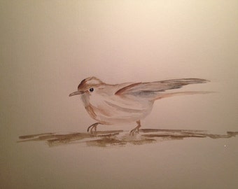 Original Watercolour Painting - garden Warbler