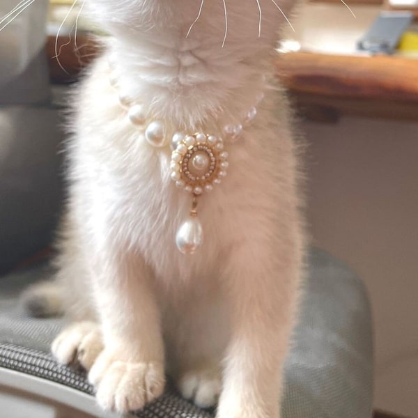 Pearl Pendant for Cat Collar Etsy