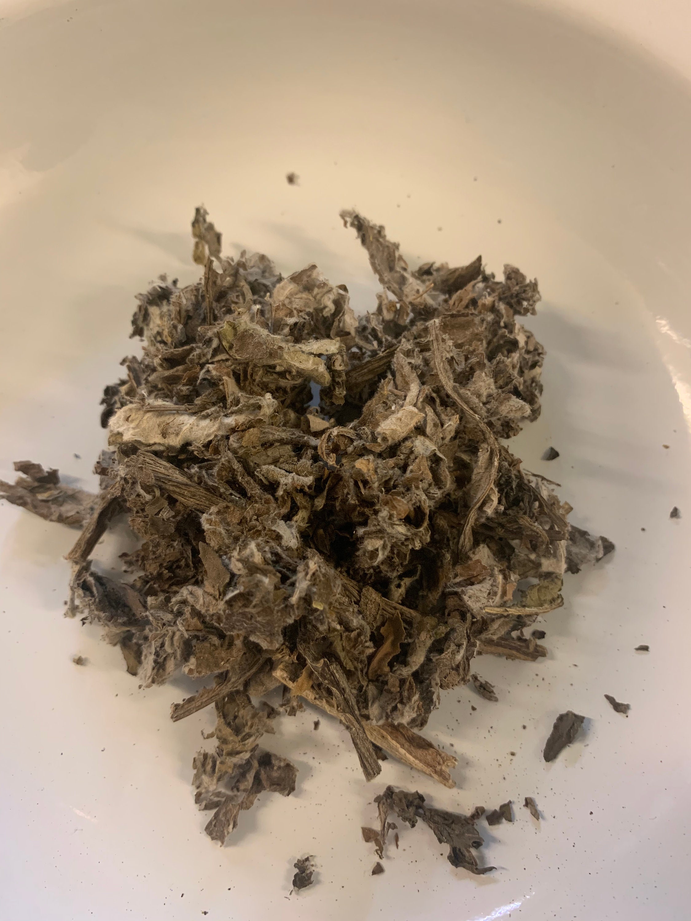 Fèy haitian Herbs - Etsy