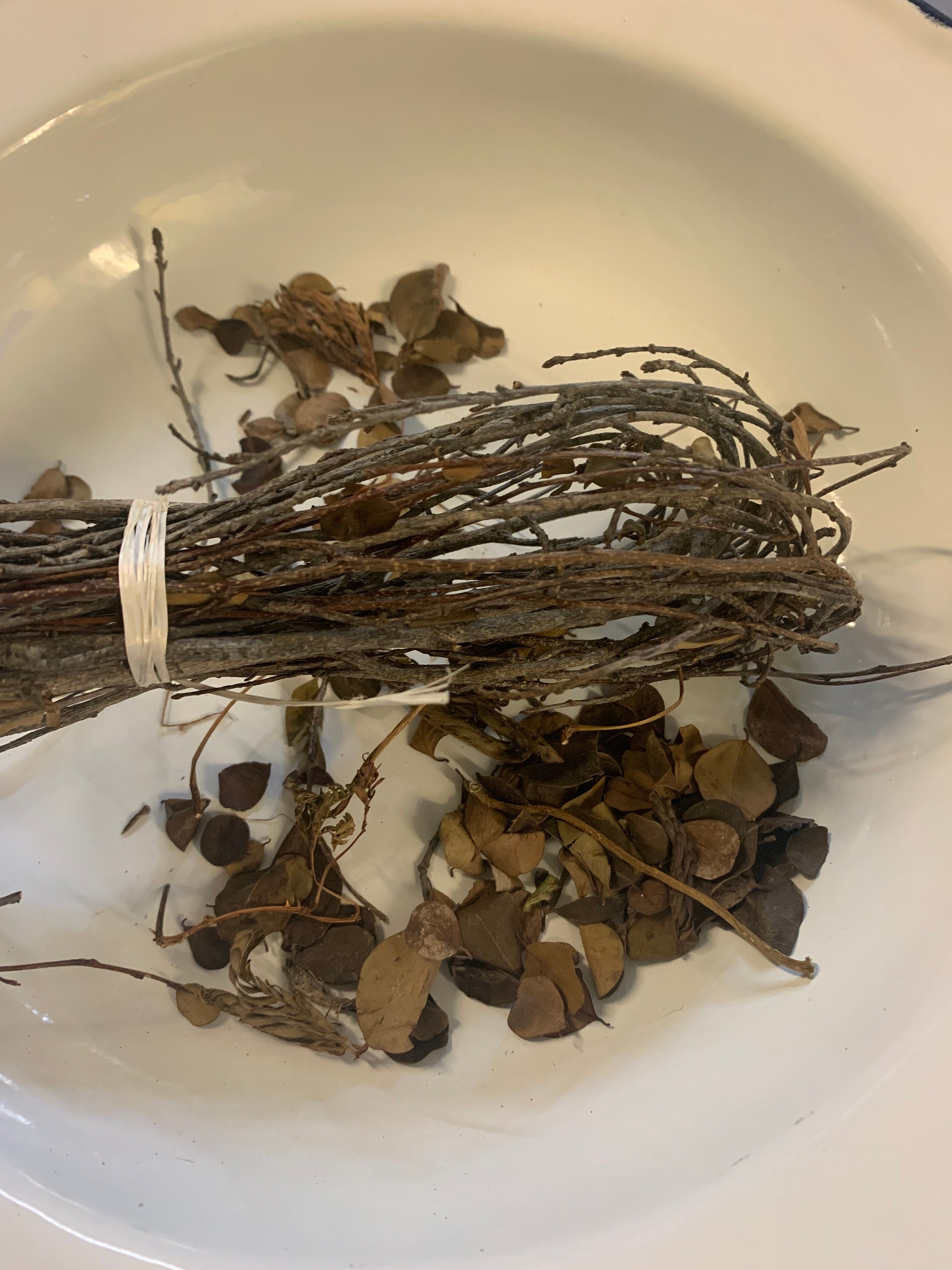 Fèy haitian Herbs - Etsy