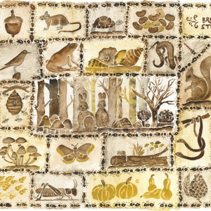 Faune et flore d’étude brunes