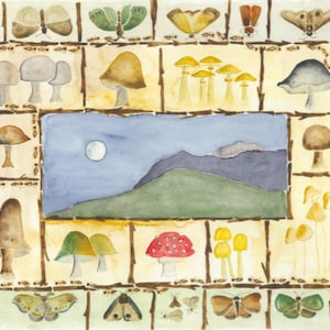 Moonlight Mushrooms Moths Matrix