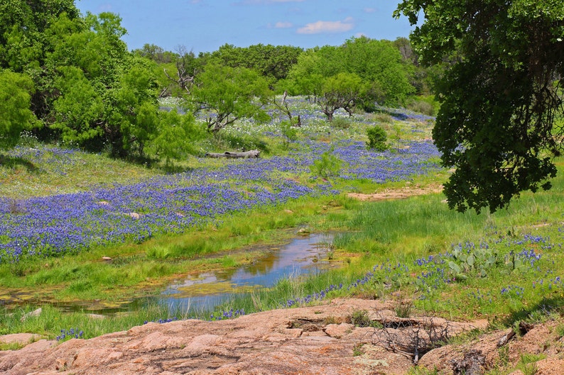 Willow City Loop Central Texas Etsy