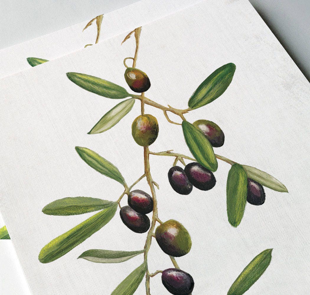 Olive Tree Giclée Art Print Olive Branches Olive Leaves Etsy