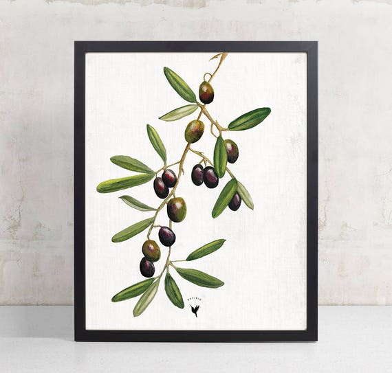 Olive Tree Giclée Art Print Olive Branches Olive Leaves Etsy