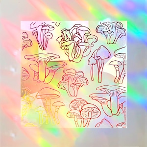 Mixed Mushrooms Rainbow Suncatcher Decal | suncatcher sticker, rainbow maker decal, rainbow window decal